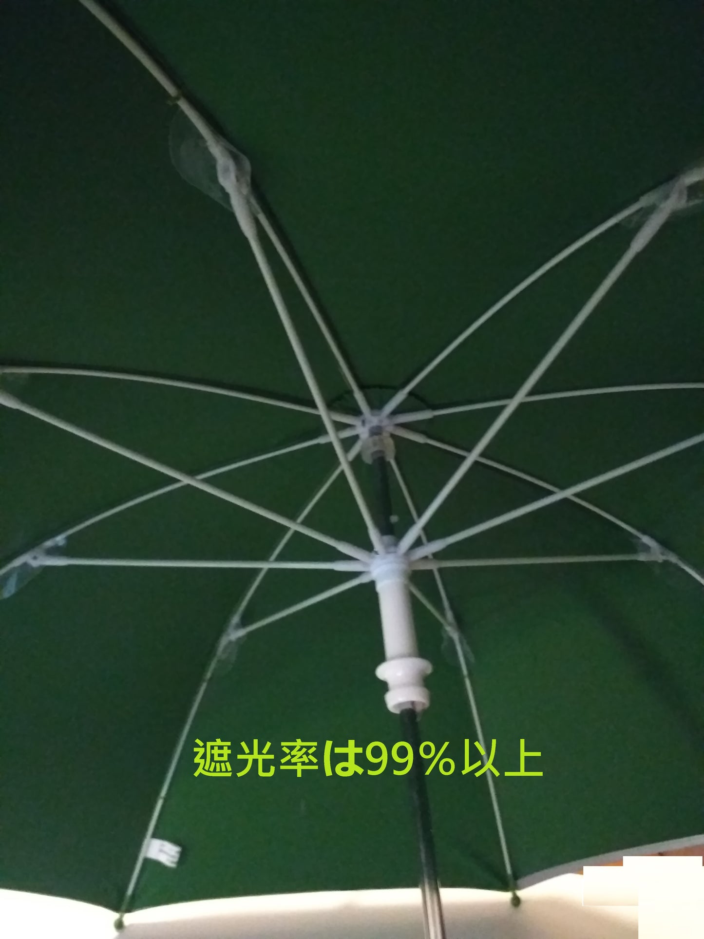 DINOSOUR 恐龍童款晴雨兩用直傘65cm - Madingding